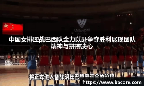 BB贝博登录入口